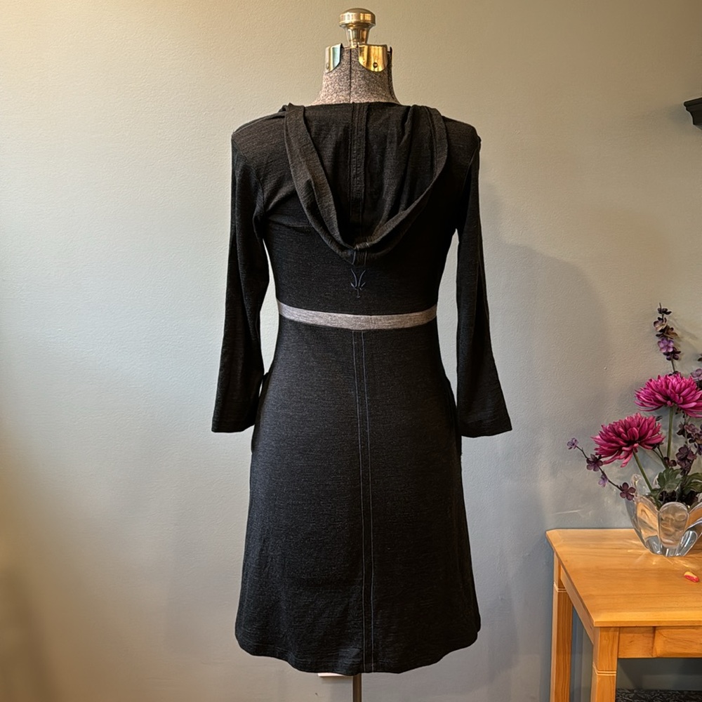 Ibex Merino Hooded Dress - Picture 6 of 12